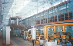 Linha de produção da eletroforese do ânodo do automóvel